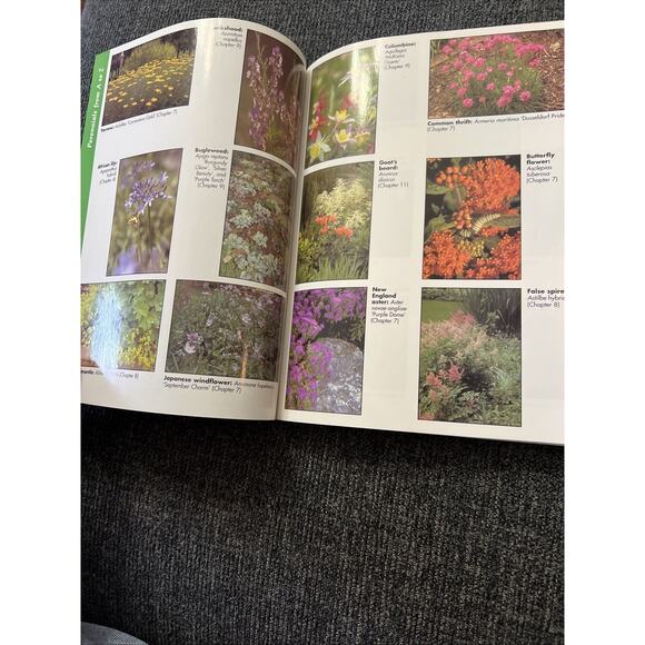 Perennials for Dummies Softcover 1997 by Marcia Tatroe &National Gardening Assoc - Picture 16 of 16